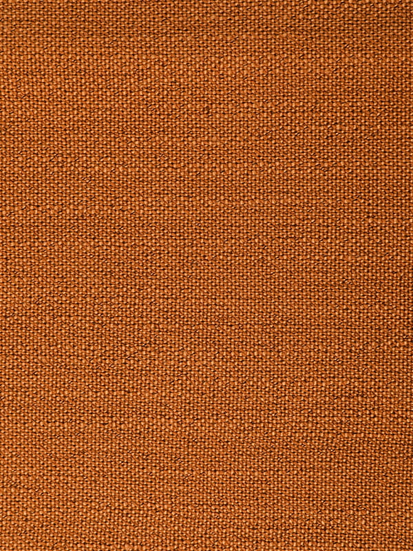 Poileistear plain agus línéadach Nautilus tolg Nautilus Poileistear plain agus línéadach Nautilus tolg Nautilus